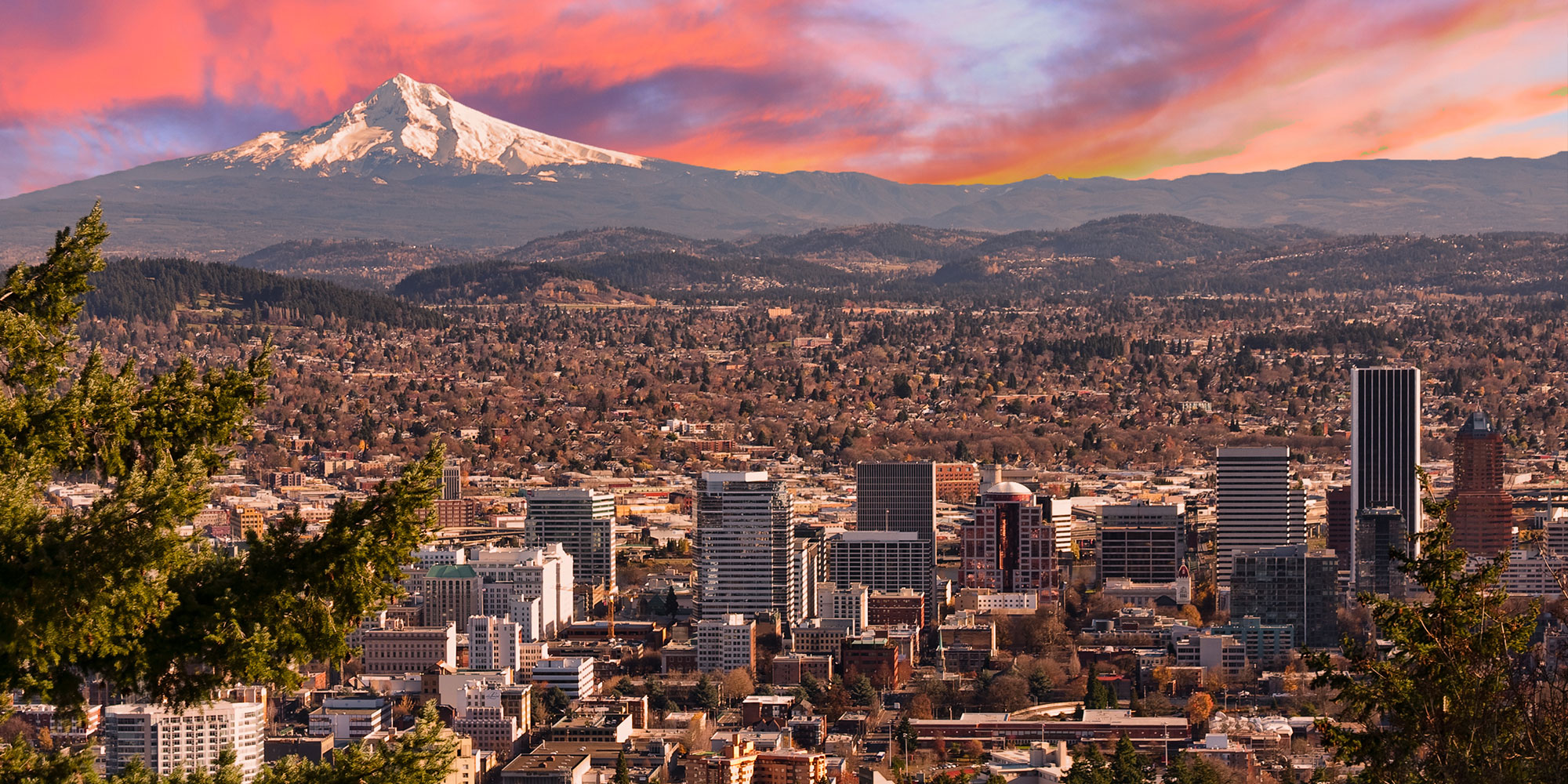 Beautiful Vista of Portland